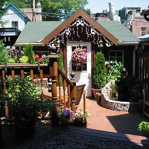 A Seaton Dream Toronto